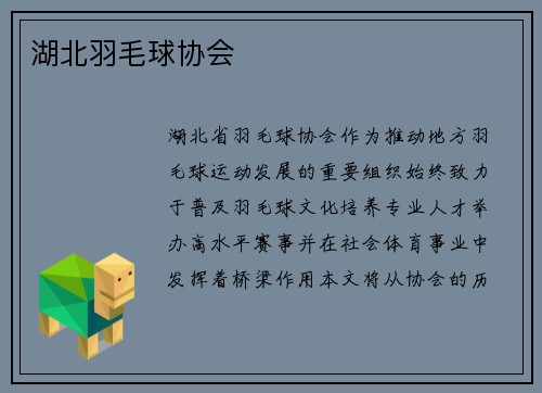 湖北羽毛球协会