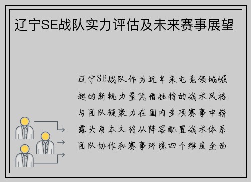 辽宁SE战队实力评估及未来赛事展望