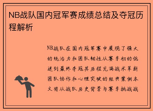 NB战队国内冠军赛成绩总结及夺冠历程解析